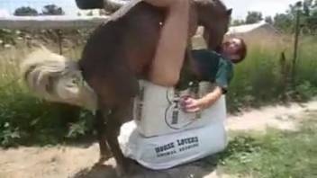 Sex with horses at the ranch