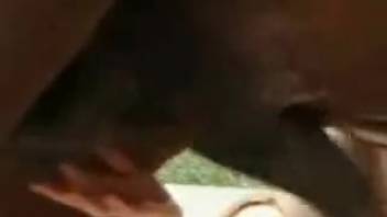Driven young woman is really loving bestiality videos a ton