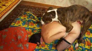 Stunning bestiality enthusiast adores her canine