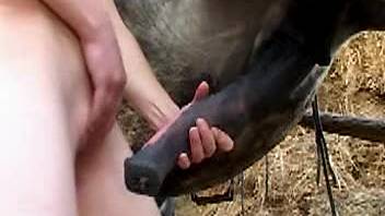 Huge savage stallion and a steamy bestiality whore