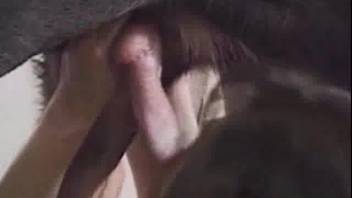 Homemade doggy style banging bliss