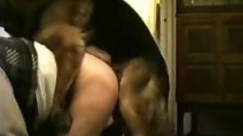 German dog doggy style fucks his master in anal