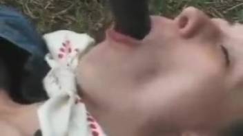 Stallion pleasures her gaping mouth and pussy