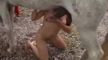 Mare satisfying cock blowjob