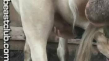 Equine participating in barnyard intercourse footage shoot