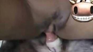 Lady fucking hot in animal porn video