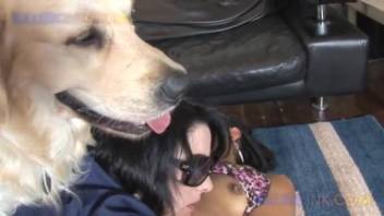 Girl satisfies her pup by blowing a cock
