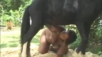 Most disgusting pony cock sucking bestiality video!