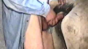 Disgusting horse sex scene in beastiality porn video