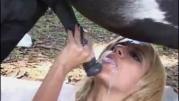 Mischievous babe getting it on with a stallion