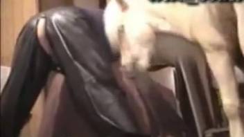 Pale horse bangs