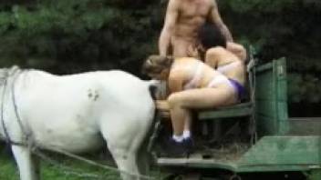Teen girl handles massive equine cock