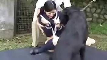 Asian animal sex recorded outdoors. Free bestiality and animal porn
