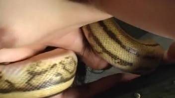 People engaging in intense intercourse with beasts