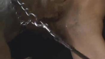 Bestiality clips featuring steamy blowjobs and beyond