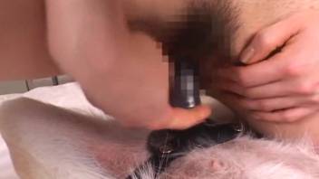 Oriental goddess mounts a canine's shaft live on webcam