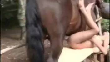 Incredible surge of bliss with massive horse cock