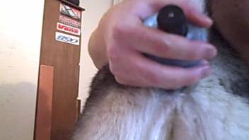 Guy penetrating a canine's rear with a sex toy