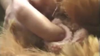 Intoxicated man screwing a hen outside
