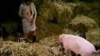 Beastiality clip from animalporn.com featuring a pair of country girls