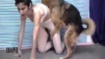 Brutal canine intercourse with a girl