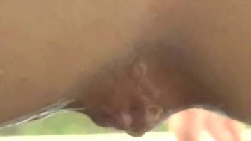 Urination and canine intercourse in one video
