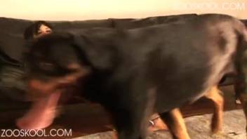 Female canine intercourse footage with authentic climaxes here