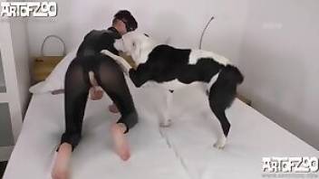 Incredible beastiality porn wtih orgasms