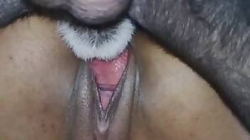 Dog beastiality porn movie with hot sex