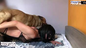 Canine sex scene featuring a lustful animal