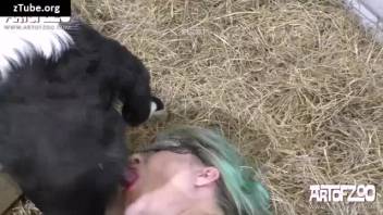 Girl gets passionately mounted by dog