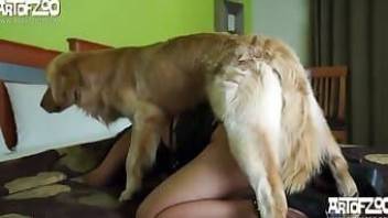 Sexy girl getting fucked by a dog bestial porn