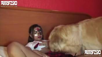 Submissive chick screwing her pooch affectionately