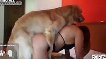 Big-ass hottie screwed from behind by dog