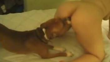 Woman has sex with dog in the bedroom