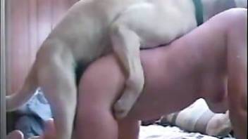 Girl and dog porn oral action ends with cum