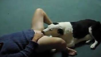 Female opens her pussy for a nice doggy
