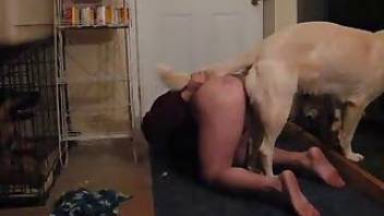 Good girl dog sex in the doggy style