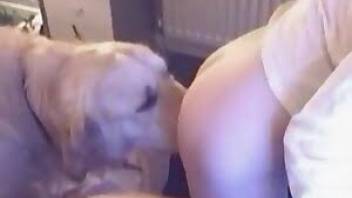 Animal sex video featuring my lovely doggy