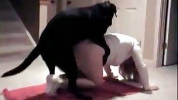 Cute dog fucked her twat in the doggy pose