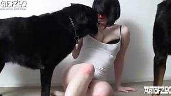 Busty brunette craving dog cock on cam
