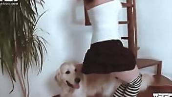 Dog licks pussy on a spiral staircase