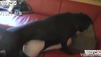 Cheerful woman engages in intercourse with a canine. Complimentary zoophilia and beast sex videos