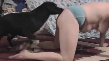 Doggystyle with thick cock adores fine butts