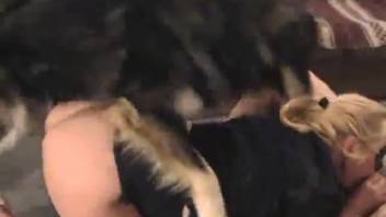 dogleaker bangs chick