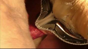 Aroused fair-haired woman features in a bestiality video with dogs