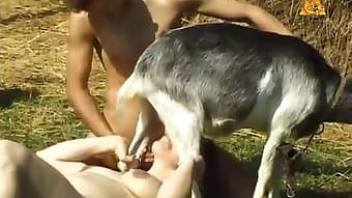 brutal animal porn action in hot video