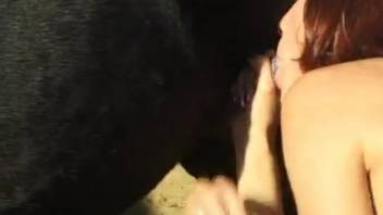 Amateur deepthroats massive horse-like dick in explicit video