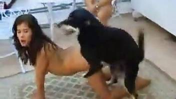 Horny Latina women fuck the same dog
