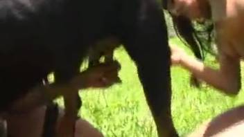 Outdoor banging with a hot pup